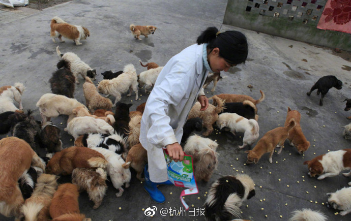 国产亚洲精品久久久优势