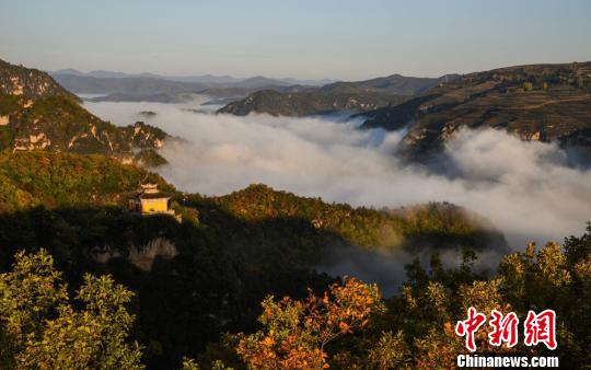 模特奥雷15张