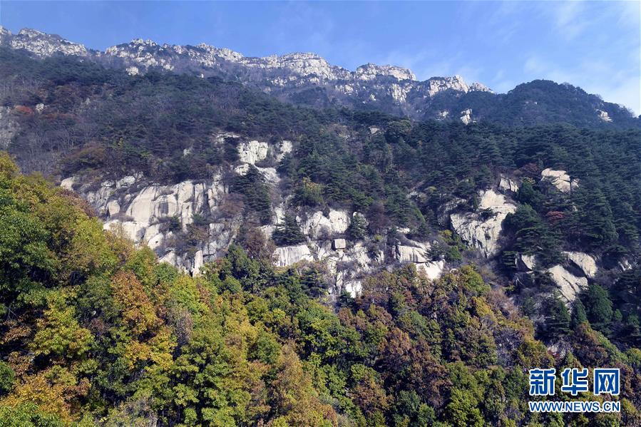 免费 色情 Av 片