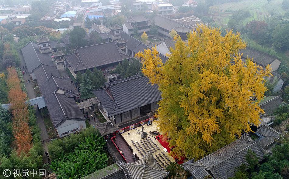 成人啪啪gif动态图