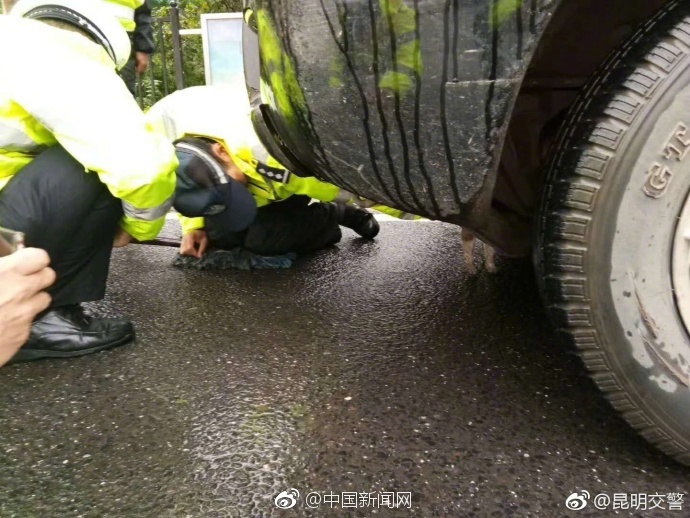 国产裸体按摩Xxxxx高清按摩
