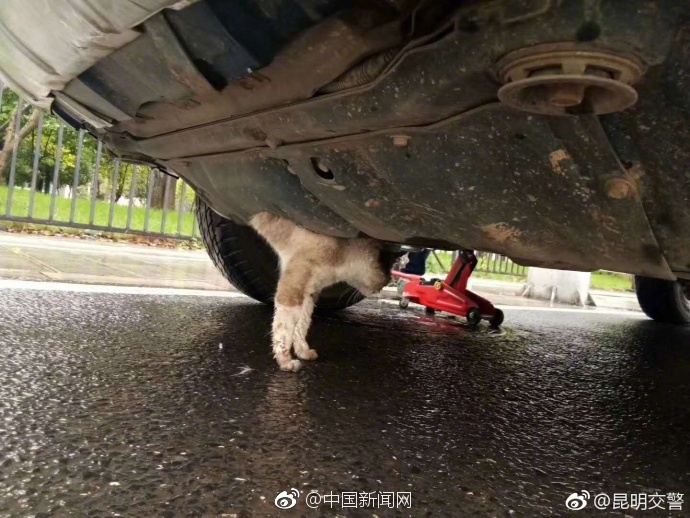 黑人熟妇色情