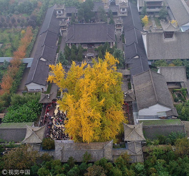 性的暴行之台湾三级片Hd