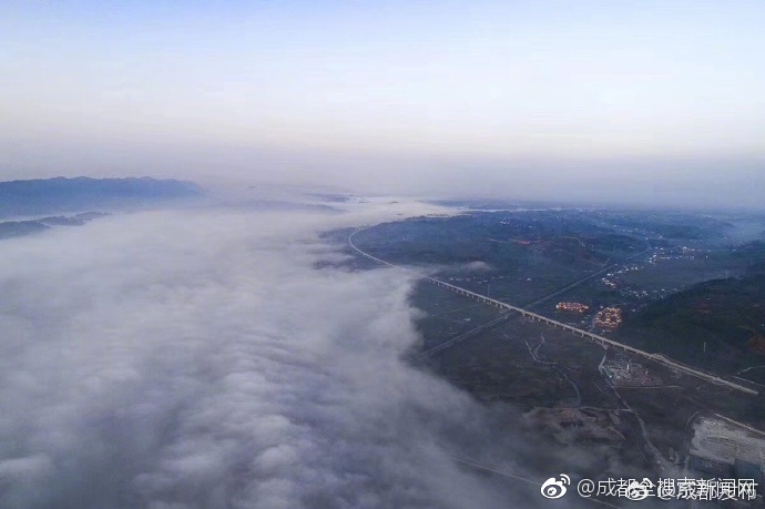 爱神直播