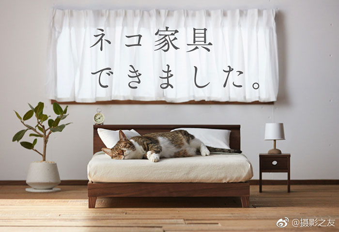 免费观看黄色视频