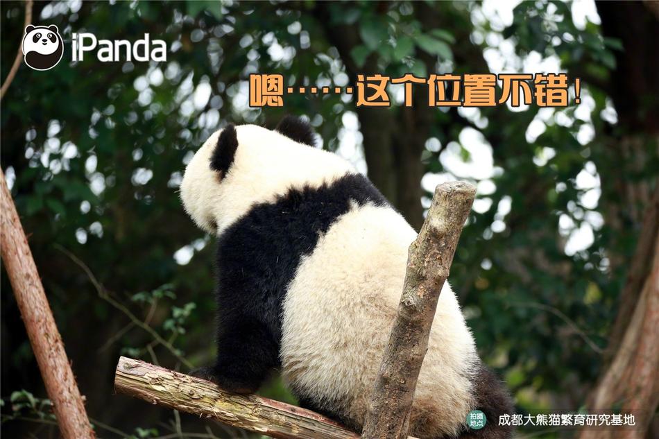 www色小姐