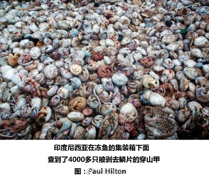 久久小视频