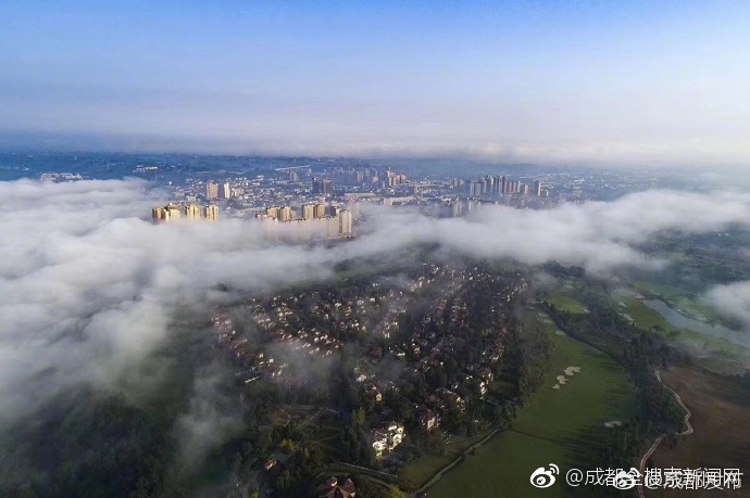 黄色 网站 免费 下载