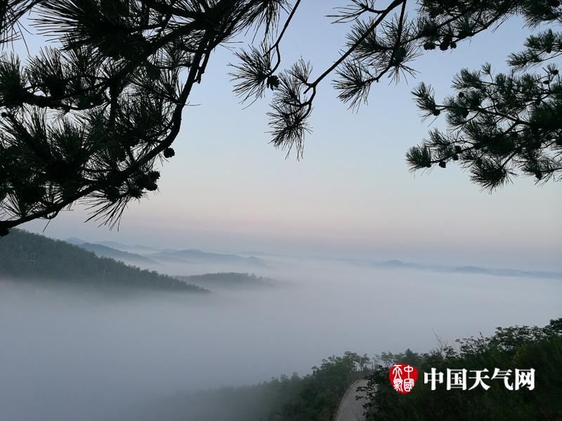 上原亚衣无码Av影片