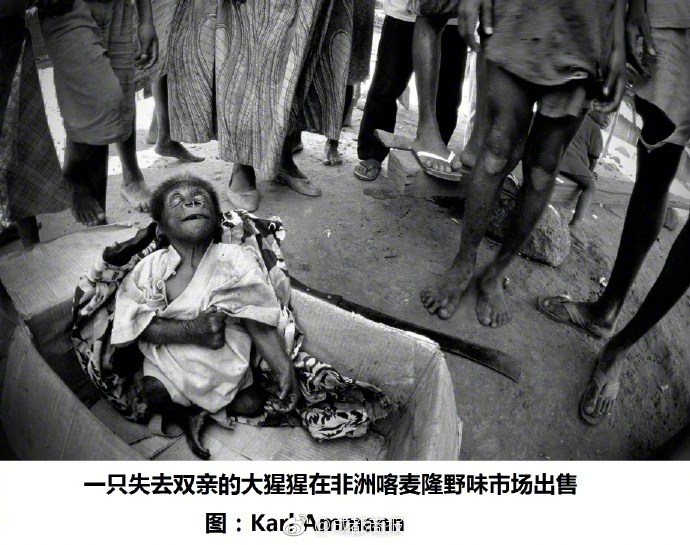 一级片淫荡女教师
