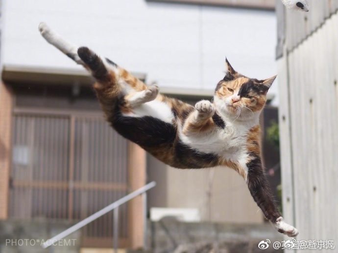 久久黄色视频