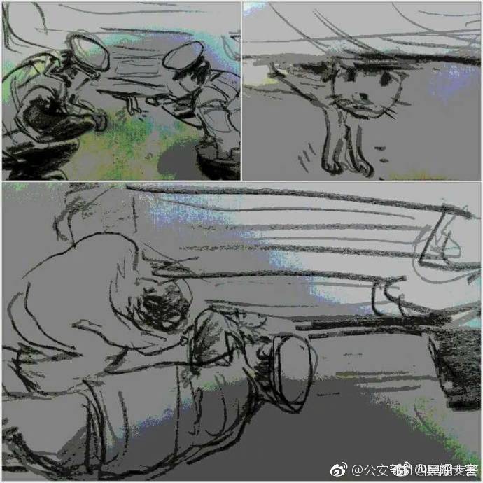 体内 精69XXXXXx软件