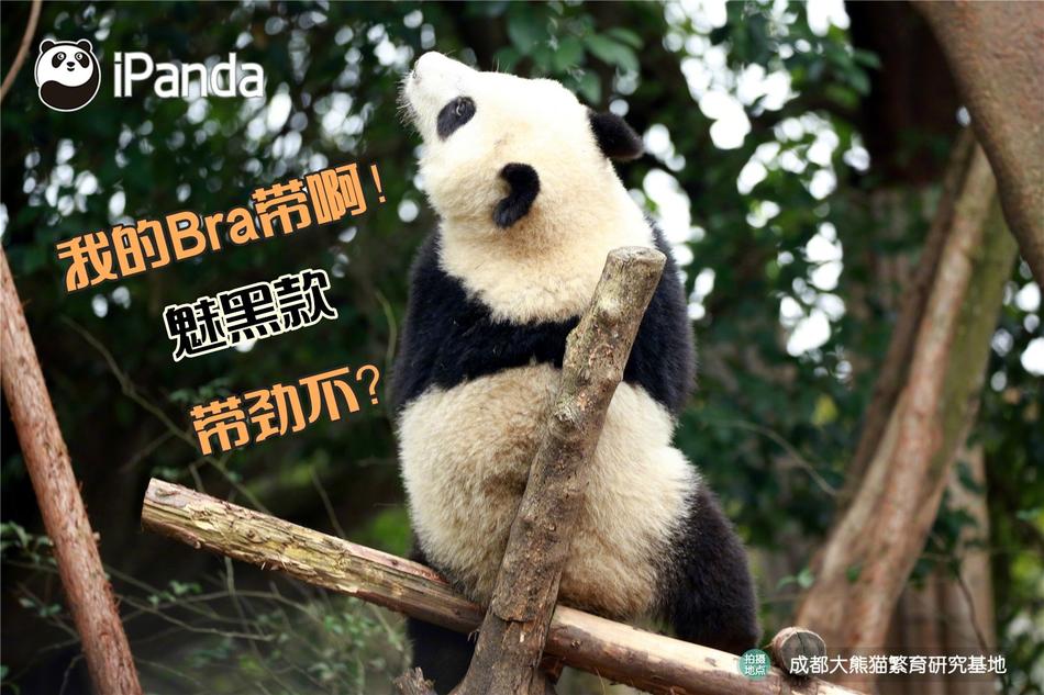 黄淫网站在线观看免费
