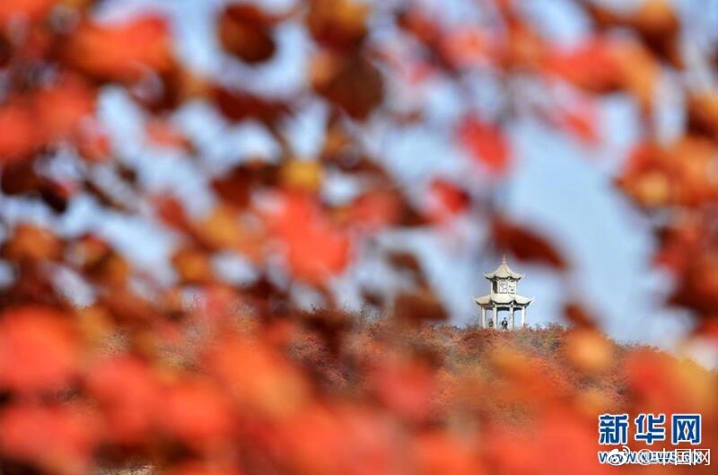 亚洲欧洲一区二区