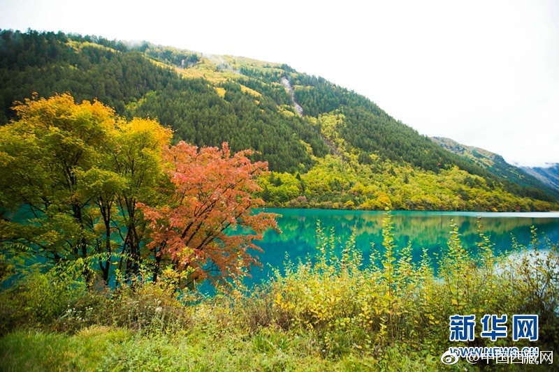 裸模精品在线播放