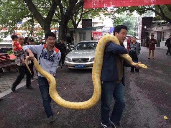 中国老女人搞B