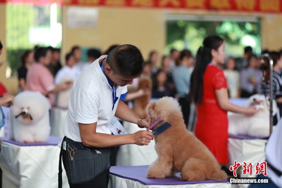 越南美女一级特黄大片下载