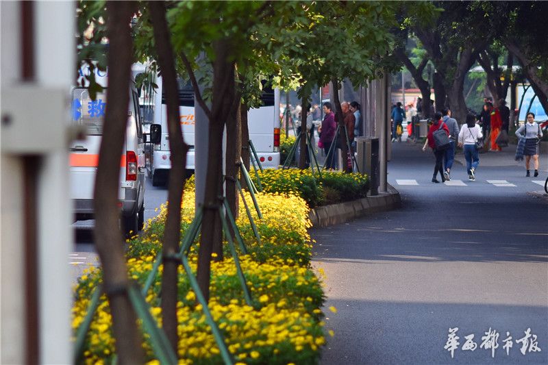三级黄色黄色