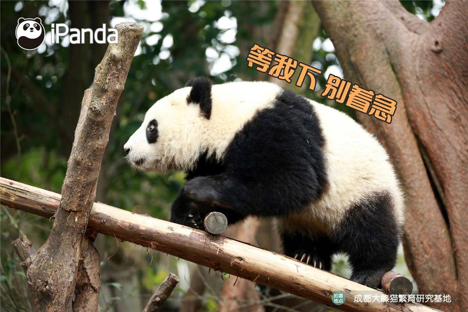 三级片福利片伦理片