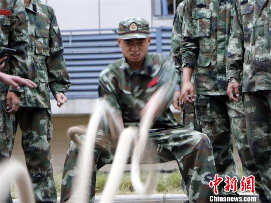 多人群交无码高清