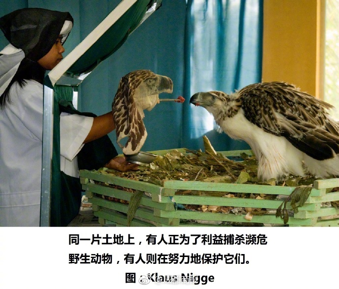 老外搞黄色视频