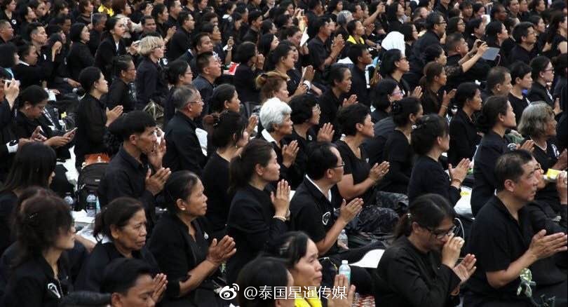 看黄色片曰逼