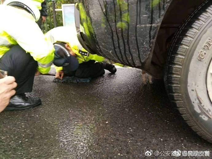 国产99久久久国产精品潘金网站