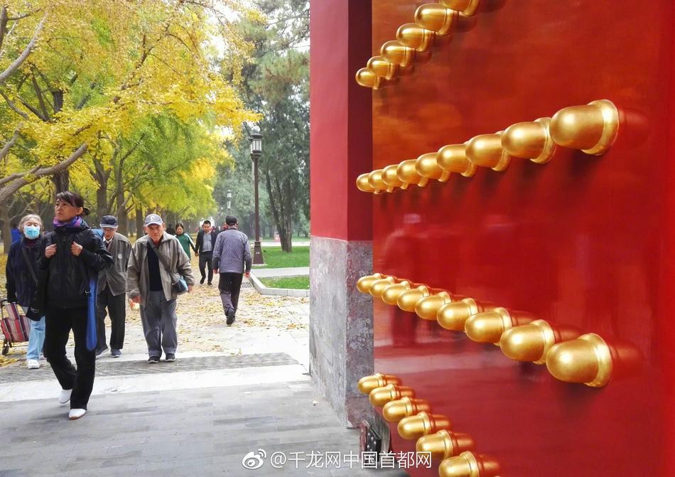 国产 肥老妇 九色