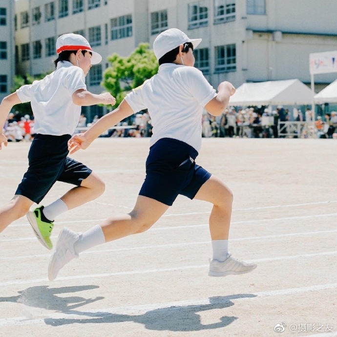 大原向葵