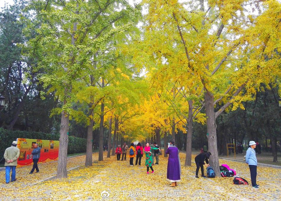 三年中文在线观看免费大全
