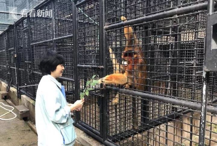 免费调教性奴视频