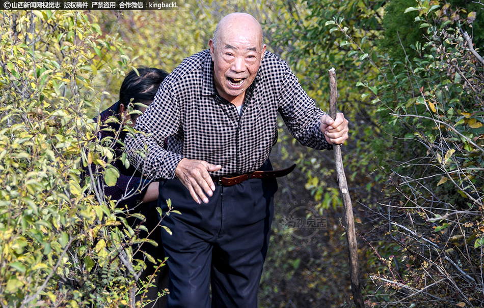 杨幂又黄