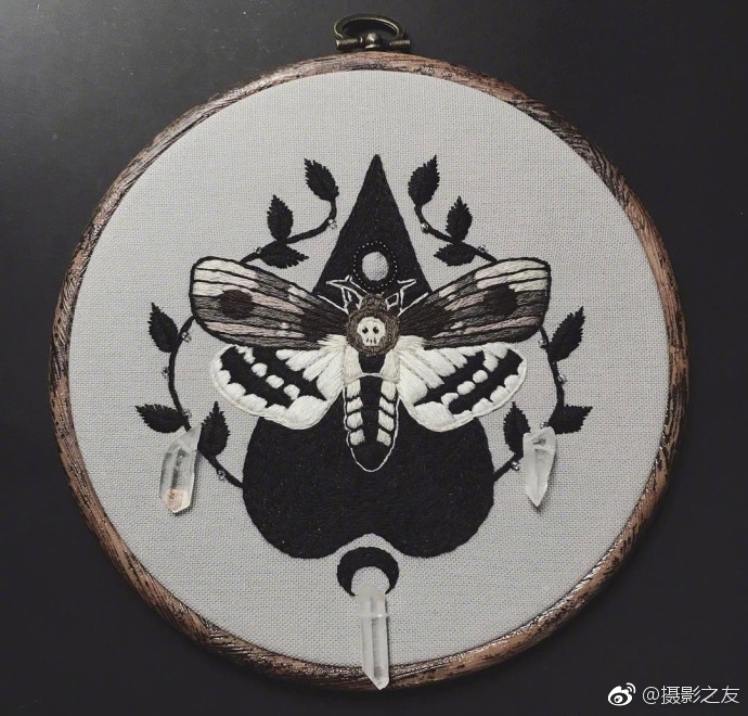 男女日逼的