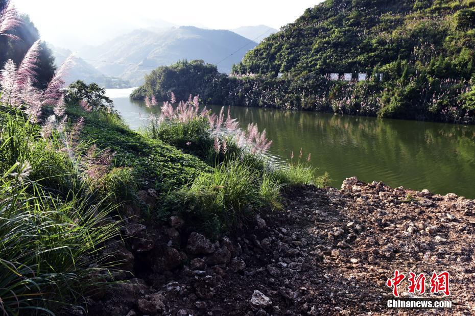 动漫裸体秘 无遮挡屁股
