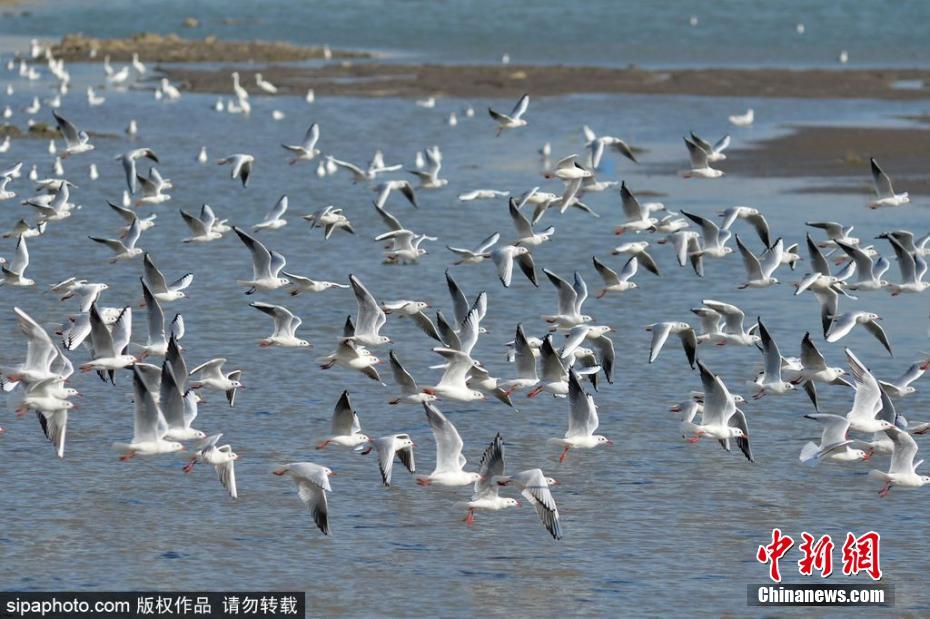 美乳深喉亚洲