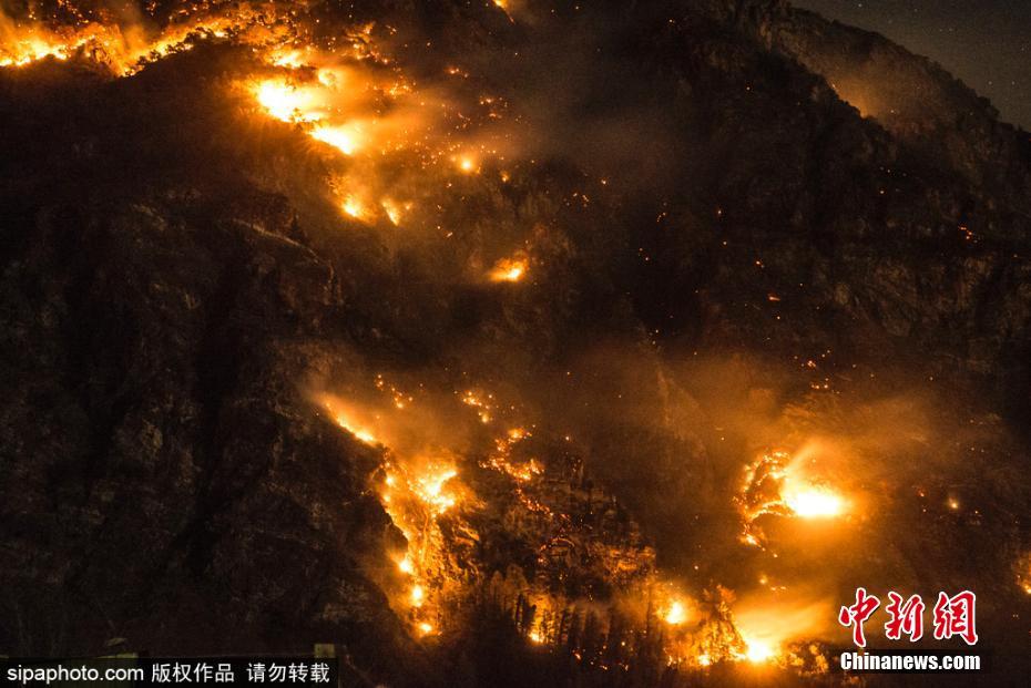 孕妇伦理片大尺度