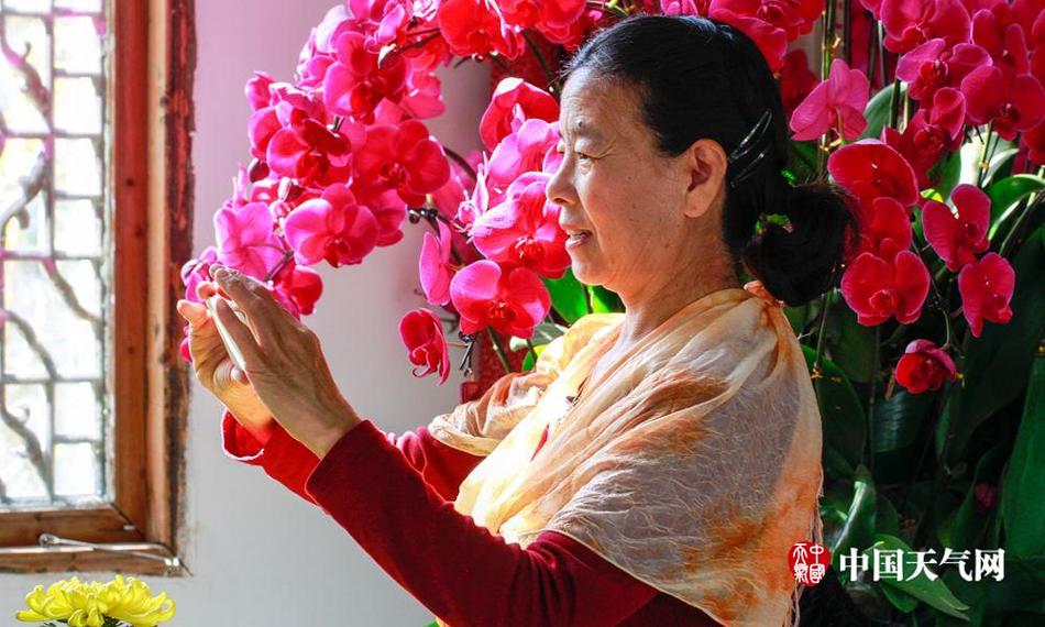 日本丰满熟妇子伦