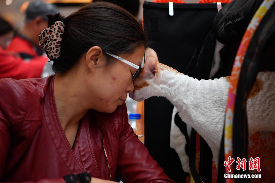五十路熟女中出