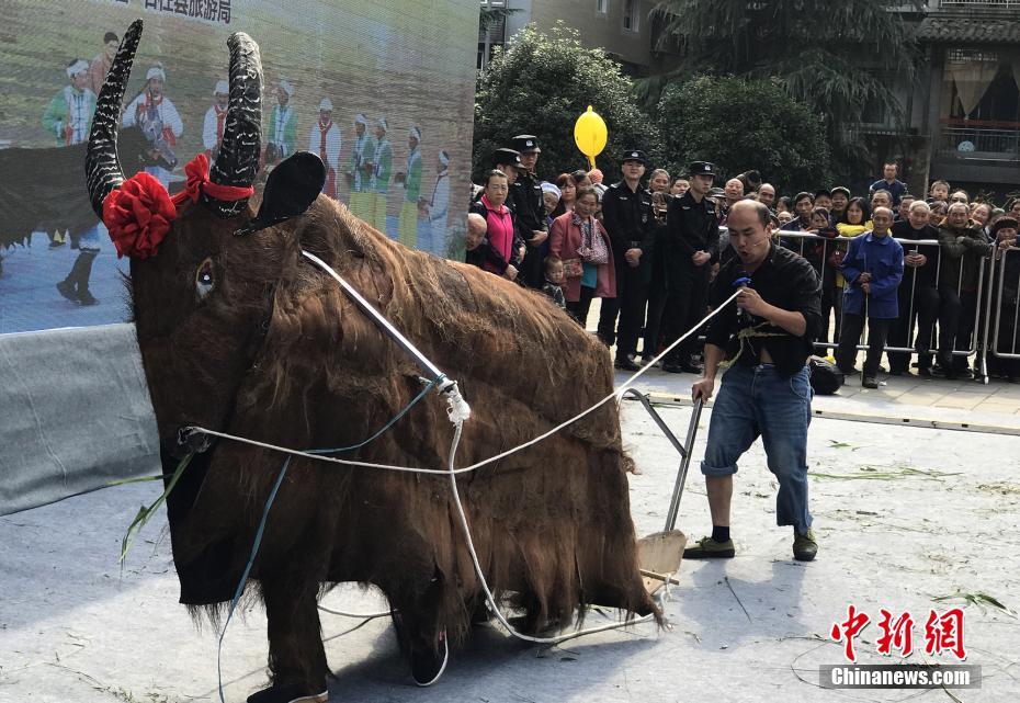 台灣男網紅