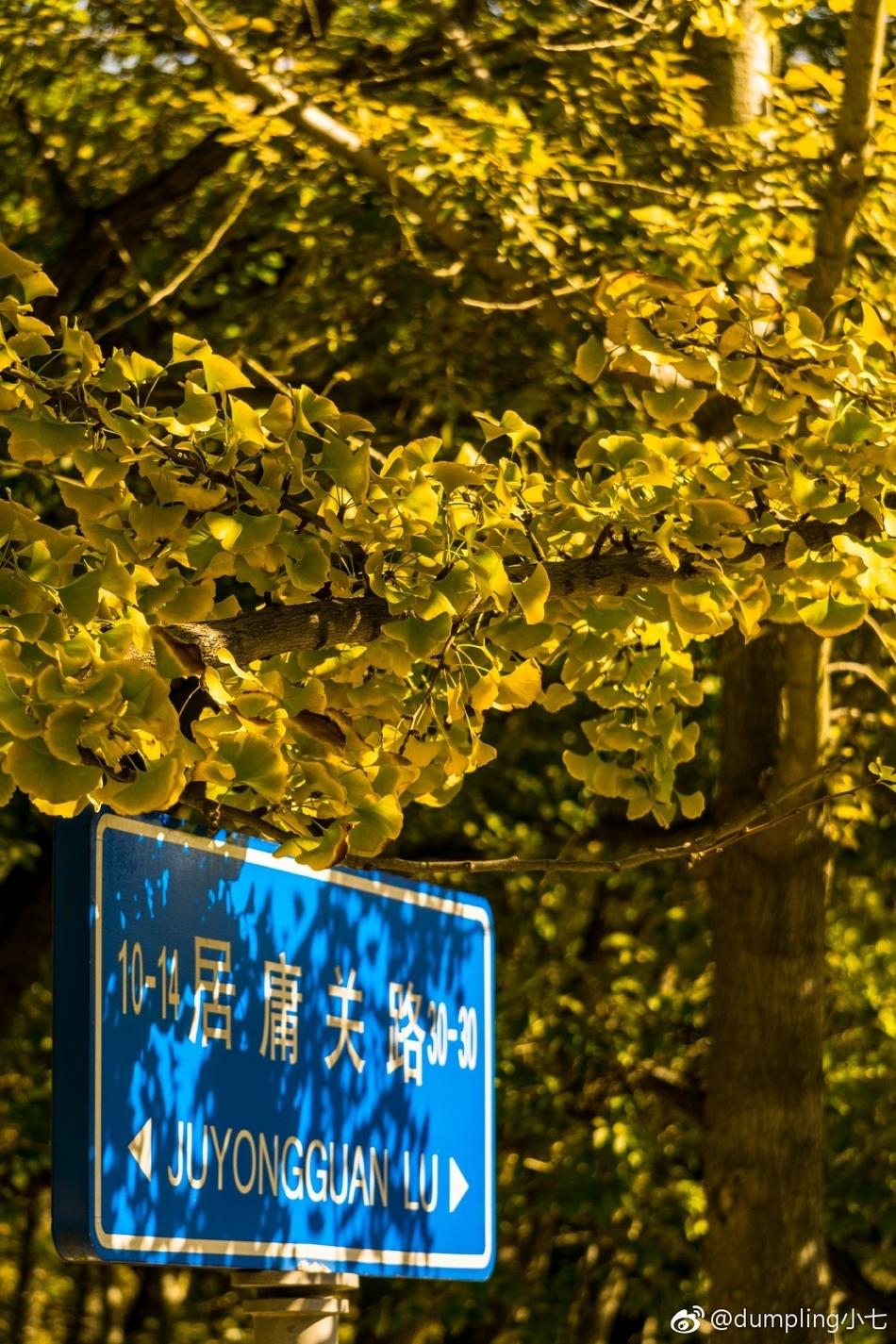 停电了被男同桌狂揉我奶胸