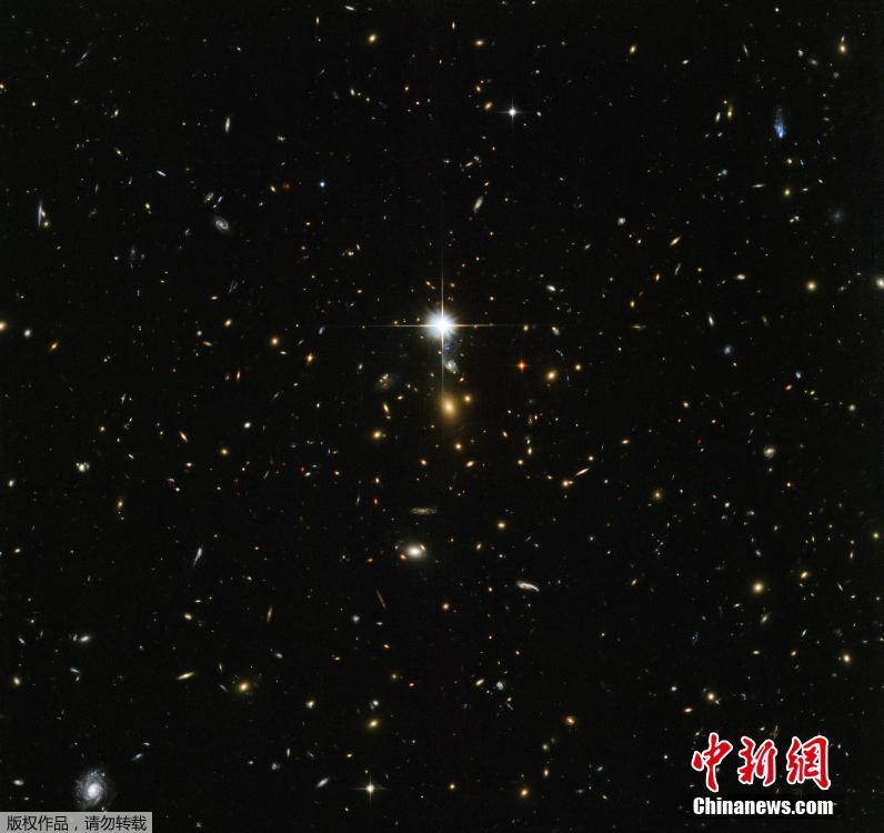 西施裸乳被爆 白浆的图片