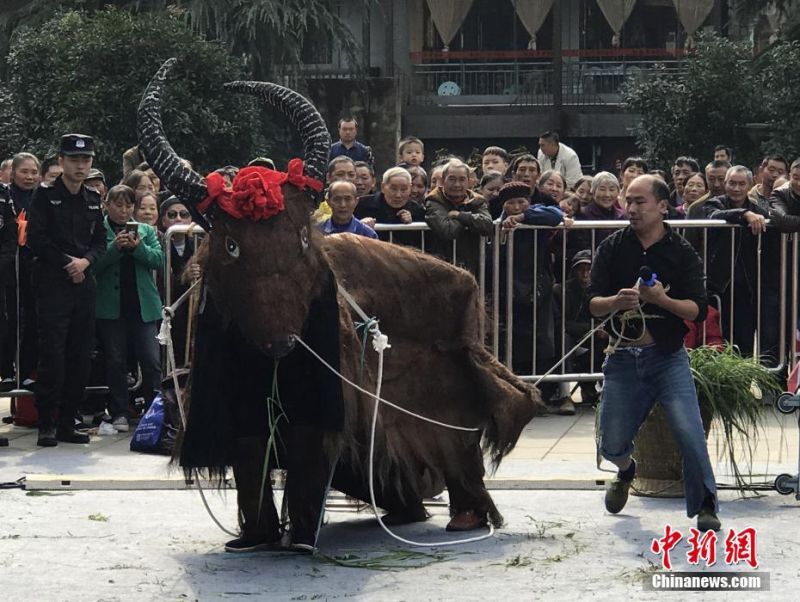 黄色电影一级片