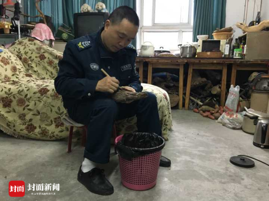 free性玩弄妞女DH