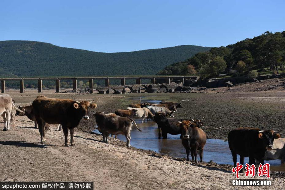 熟女大逼高清大屁股免费视频