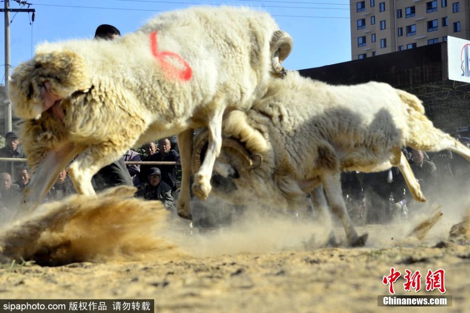 吳仁惠