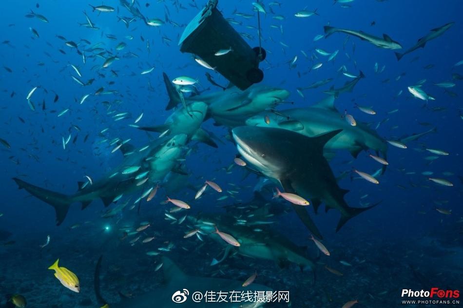黄色 色情 视频