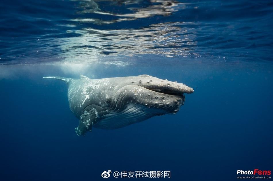 看 Av 的 网站
