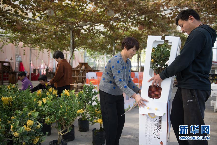 国产精品99精品久久免费