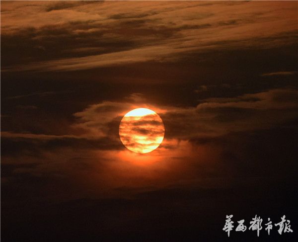鈴木志帆