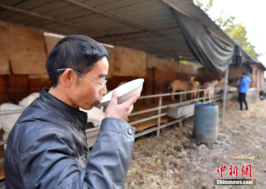 越南 色情 网